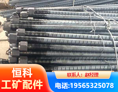 上海左旋螺纹锚杆